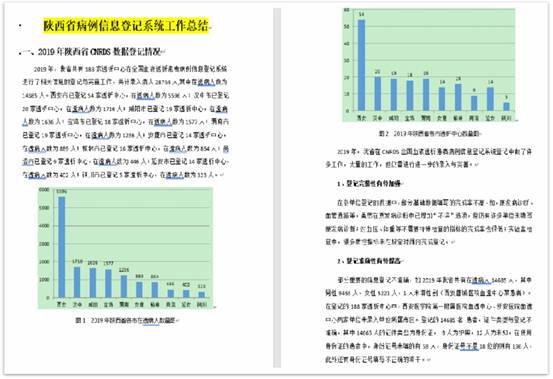 质控报告